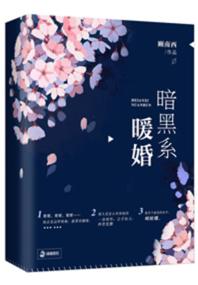 暗黑系暖婚在线阅读