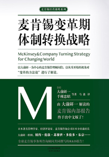 麥肯錫變革期體制轉(zhuǎn)換戰(zhàn)略