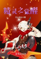 精靈之覺醒在線閱讀