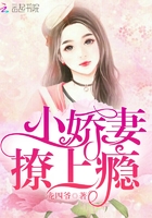 九爺你家老婆又虐渣了在線閱讀