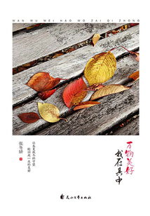 萬物美好，我在其中
