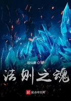 法則之魂在線閱讀