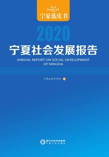 寧夏社會發展報告.2020
