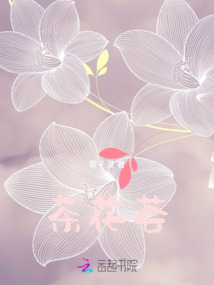 茶花荟