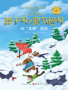 向“北极”进发(燕子号与亚马逊号)在线阅读