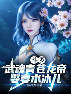 斗罗:武魂青苍龙帝,娶妻水冰儿在线阅读