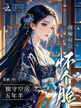 独守空房五年半，改嫁权臣怀个胎在线阅读