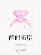 醒时无岸在线阅读