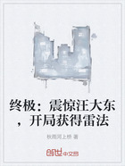 终极:震惊汪大东,开局获得雷法在线阅读