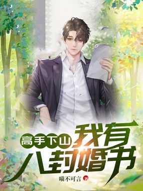 高手下山，我有八封婚书在线阅读