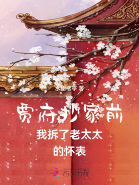 贾府抄家前，我拆了老太太的怀表在线阅读
