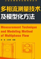 多相流测量技术及模型化方法