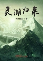 靈潮歸來在線閱讀