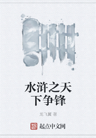 水滸之天下爭鋒在線閱讀