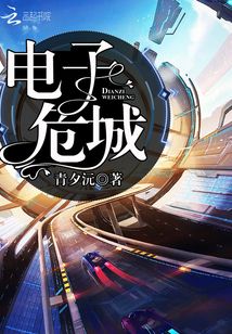 電子危城