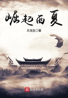 崛起西夏在線閱讀