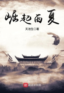 崛起西夏