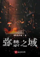 彌禁之域在線閱讀