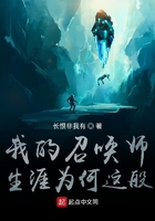 我的召唤师生涯为何这般在线阅读