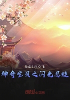 神奇宝贝之闪光忍蛙在线阅读