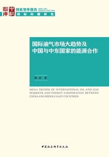 國際油氣市場大趨勢及中國與中東國家的能源合作