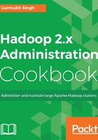 Hadoop 2.x Administration Cookbook在线阅读