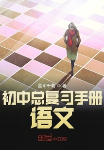 初中總復習手冊語文