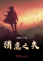 獵鷹之矢在線閱讀