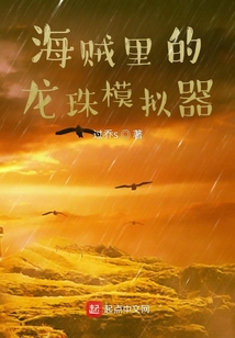 海賊里的龍珠模擬器