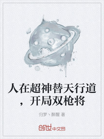 人在超神替天行道，開局雙槍將
