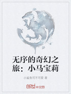 无序的奇幻之旅:小马宝莉
