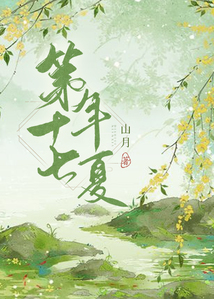 第十七年夏