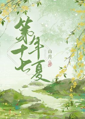 第十七年夏在线阅读