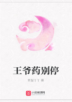 王爺藥別停在線閱讀