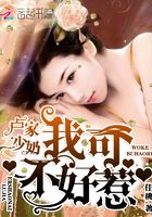 盧家二少奶：我可不好惹在線閱讀