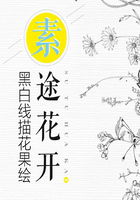 素途花开：黑白线描花果绘