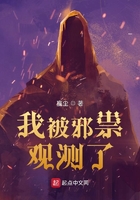 我被邪祟觀測了在線閱讀