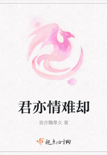 君亦情難卻