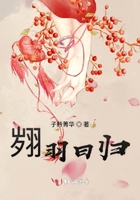 翙羽曰歸在線閱讀