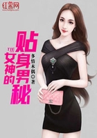 女神的贴身男秘在线阅读