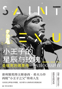 小王子的星辰與玫瑰:圣埃克蘇佩里傳