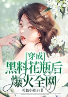 穿成黑料花瓶后爆火全網在線閱讀