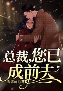 總裁，您已成前夫