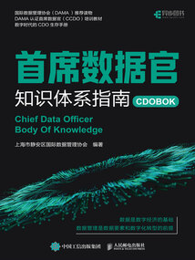 首席數(shù)據(jù)官知識體系指南