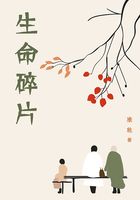 生命碎片在线阅读