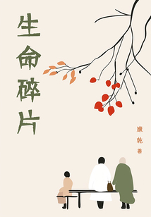 生命碎片