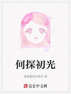 何探初光在线阅读