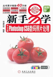 中文版Photoshop CS6數碼照片處理