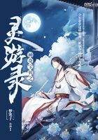 神奇宝贝之灵游录在线阅读