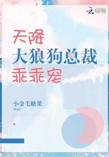 天降大狼狗總裁乖乖寵